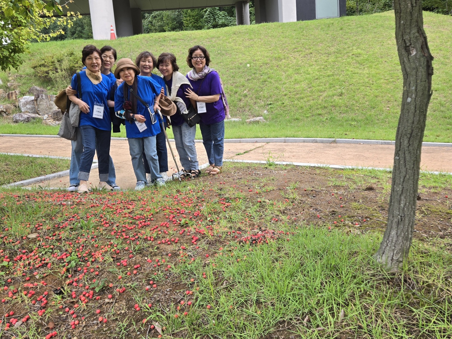 KakaoTalk_20250923_084455541_22.jpg