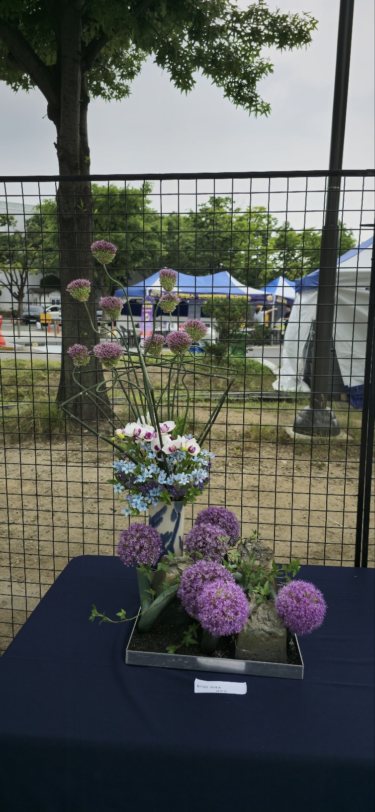 KakaoTalk_20250610_185348956_24.jpg