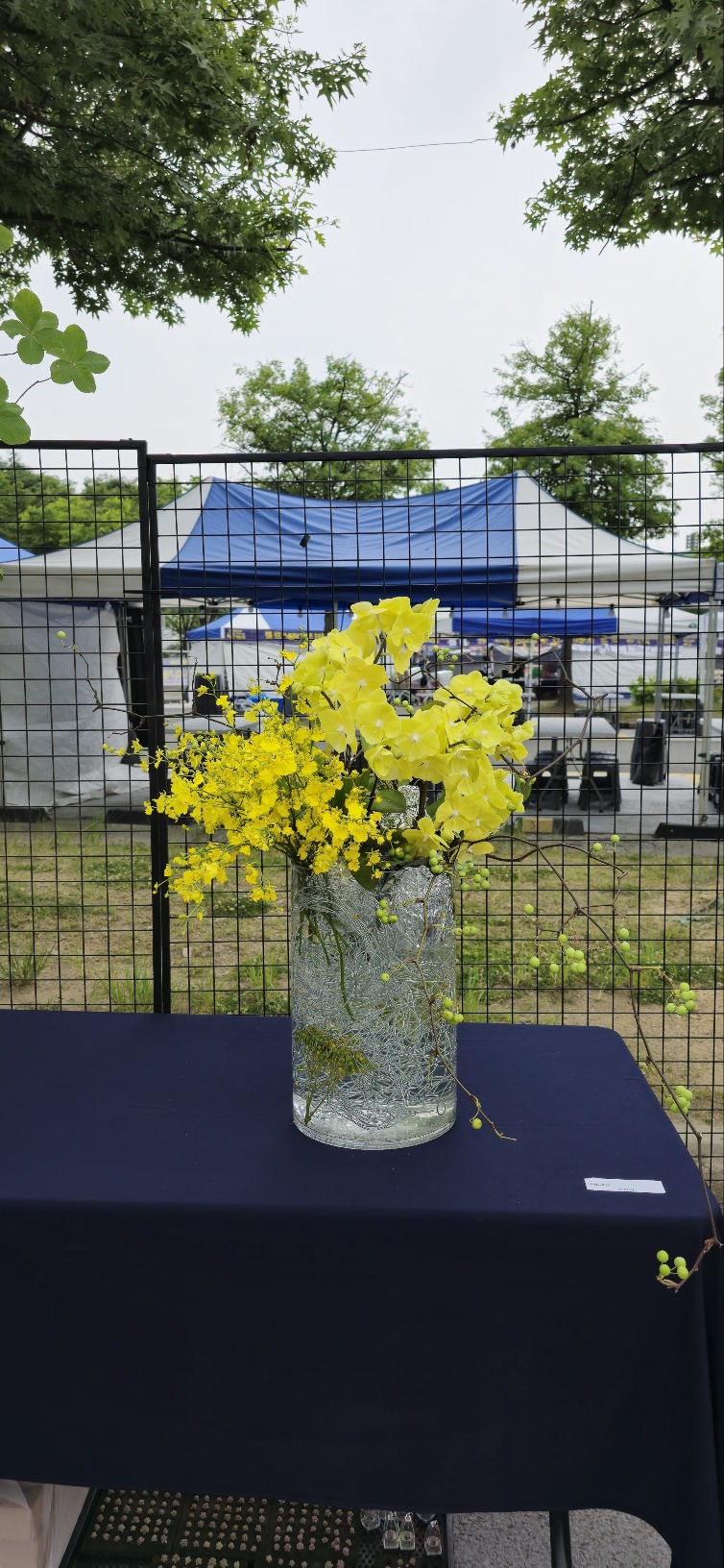 KakaoTalk_20250610_185348956_12.jpg
