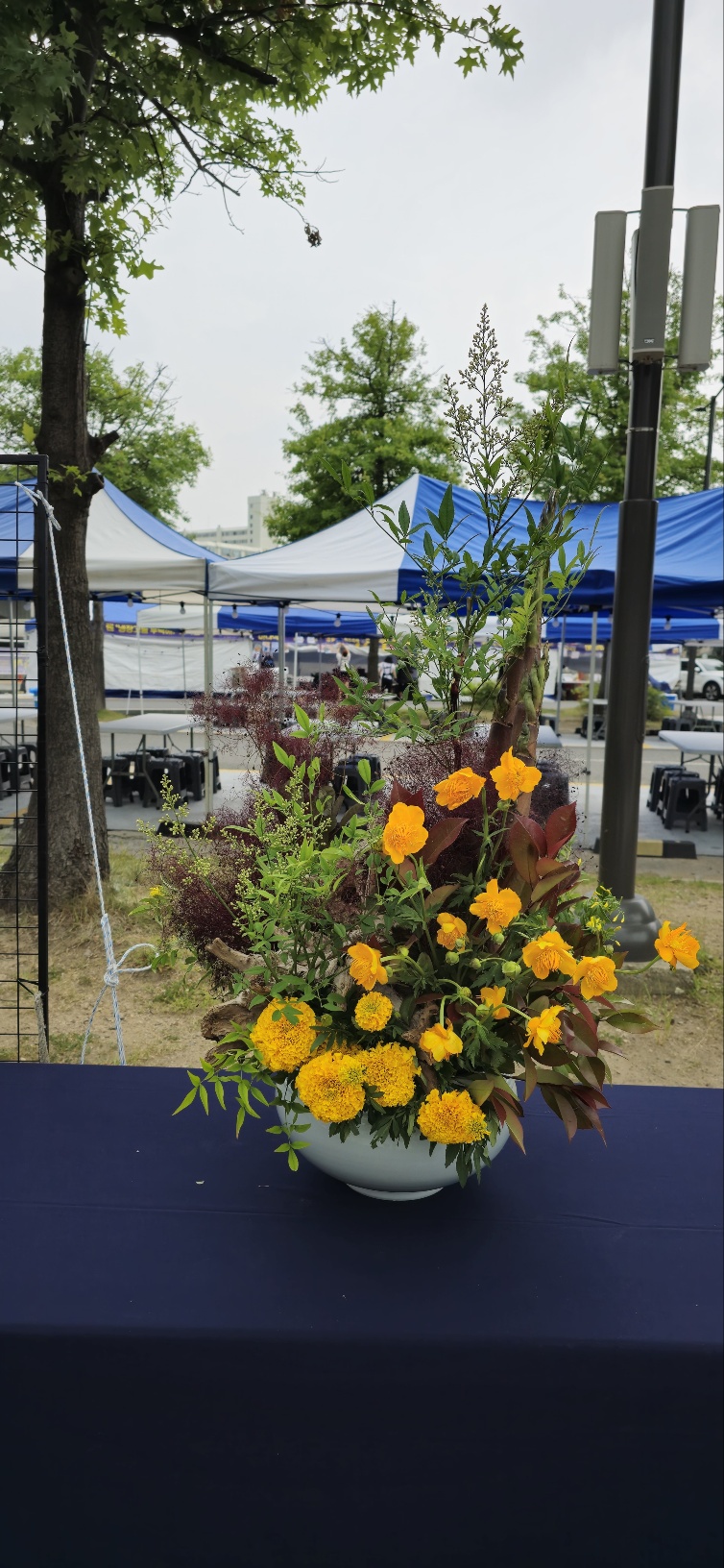 KakaoTalk_20250610_185348956_09.jpg
