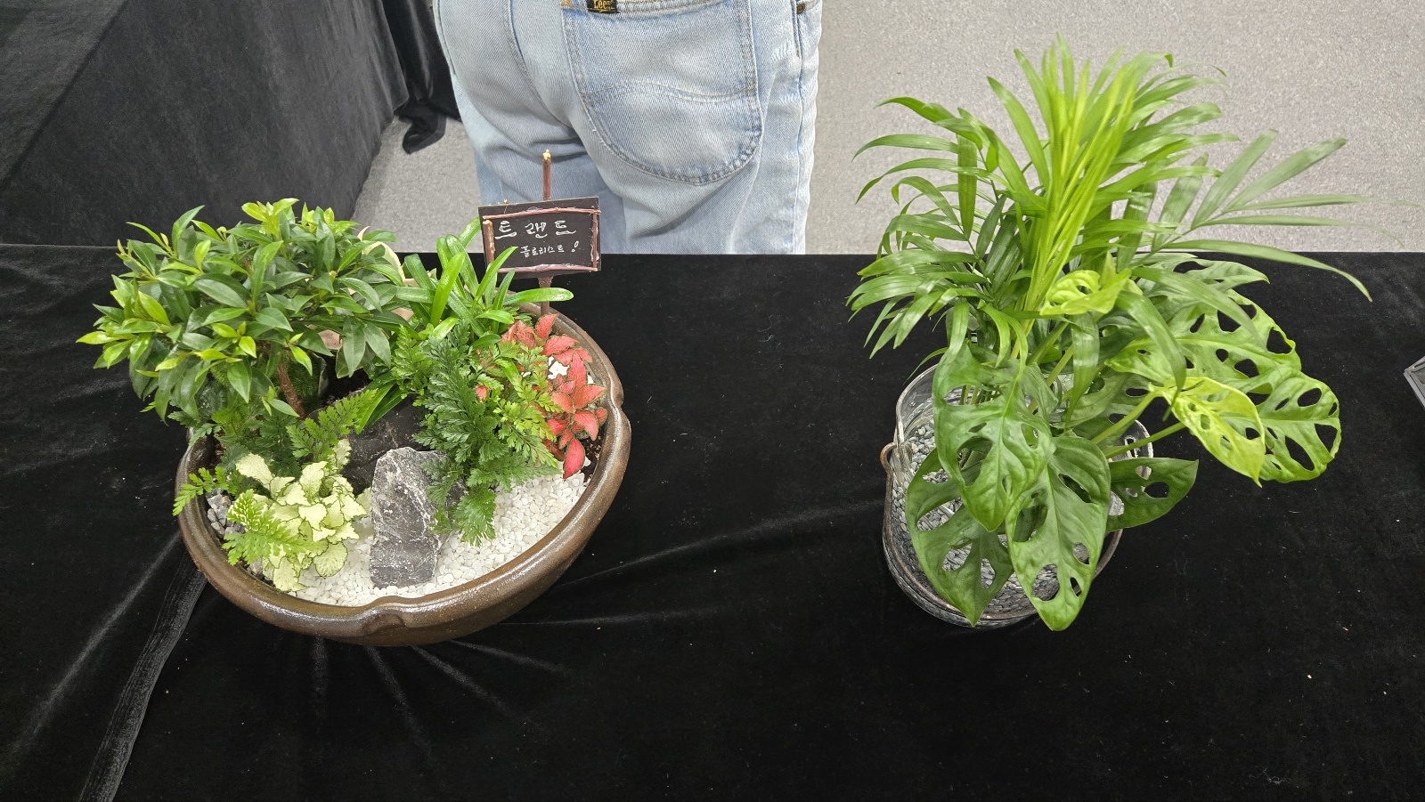 KakaoTalk_20250818_104855486_08.jpg